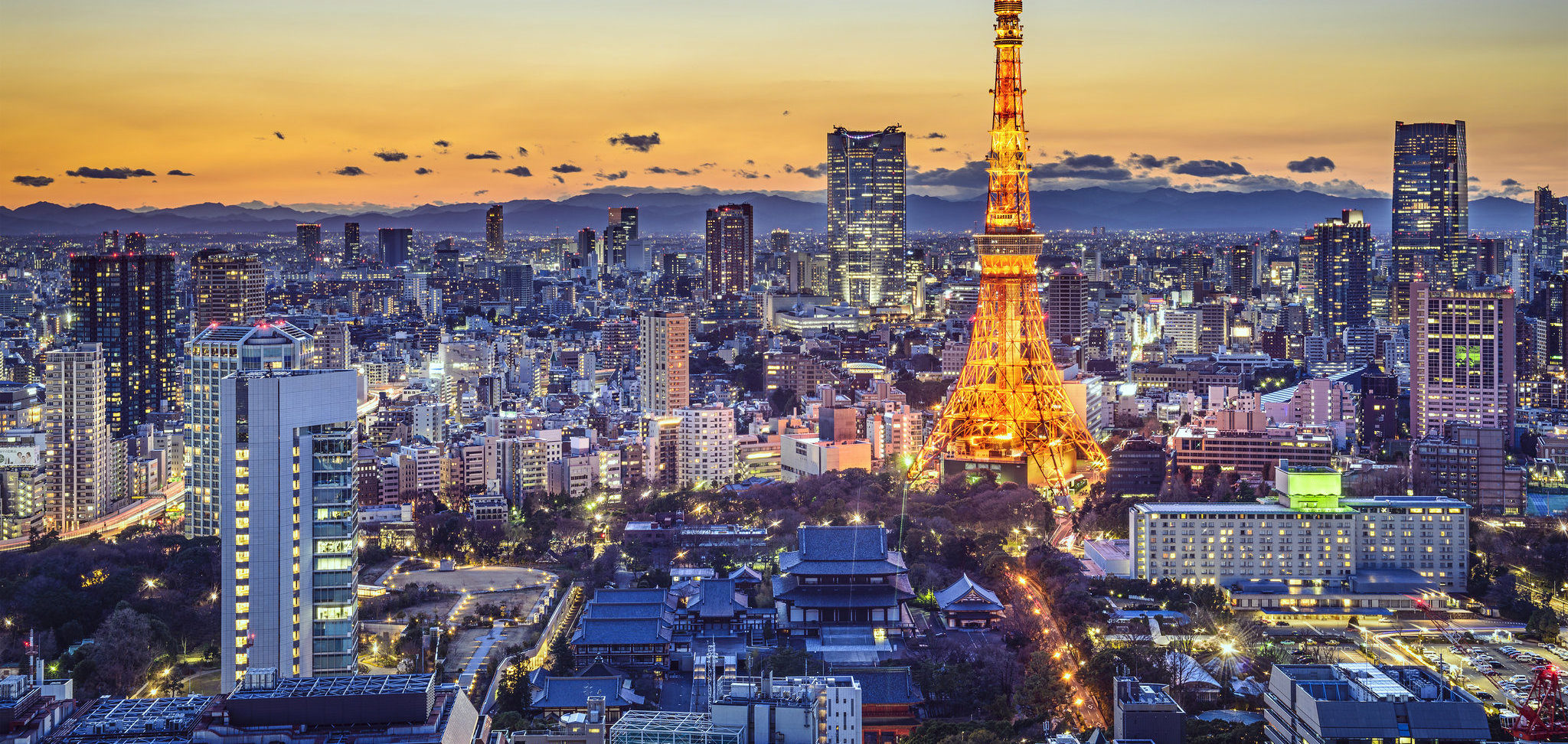 Tokyo Japan City Skyline