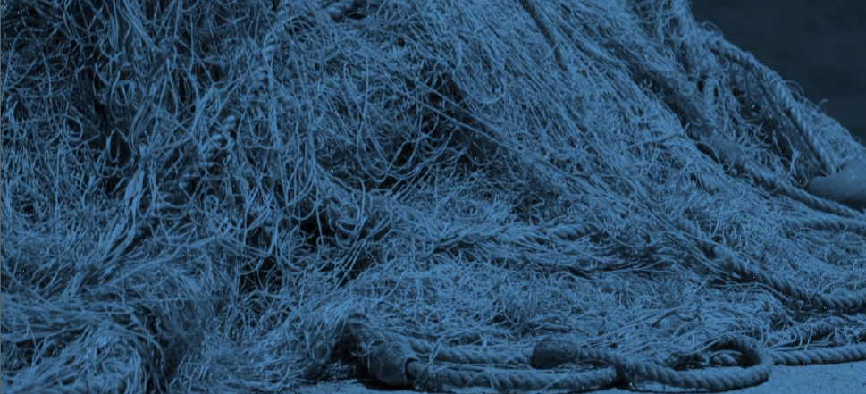 Netting