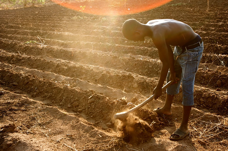 food security