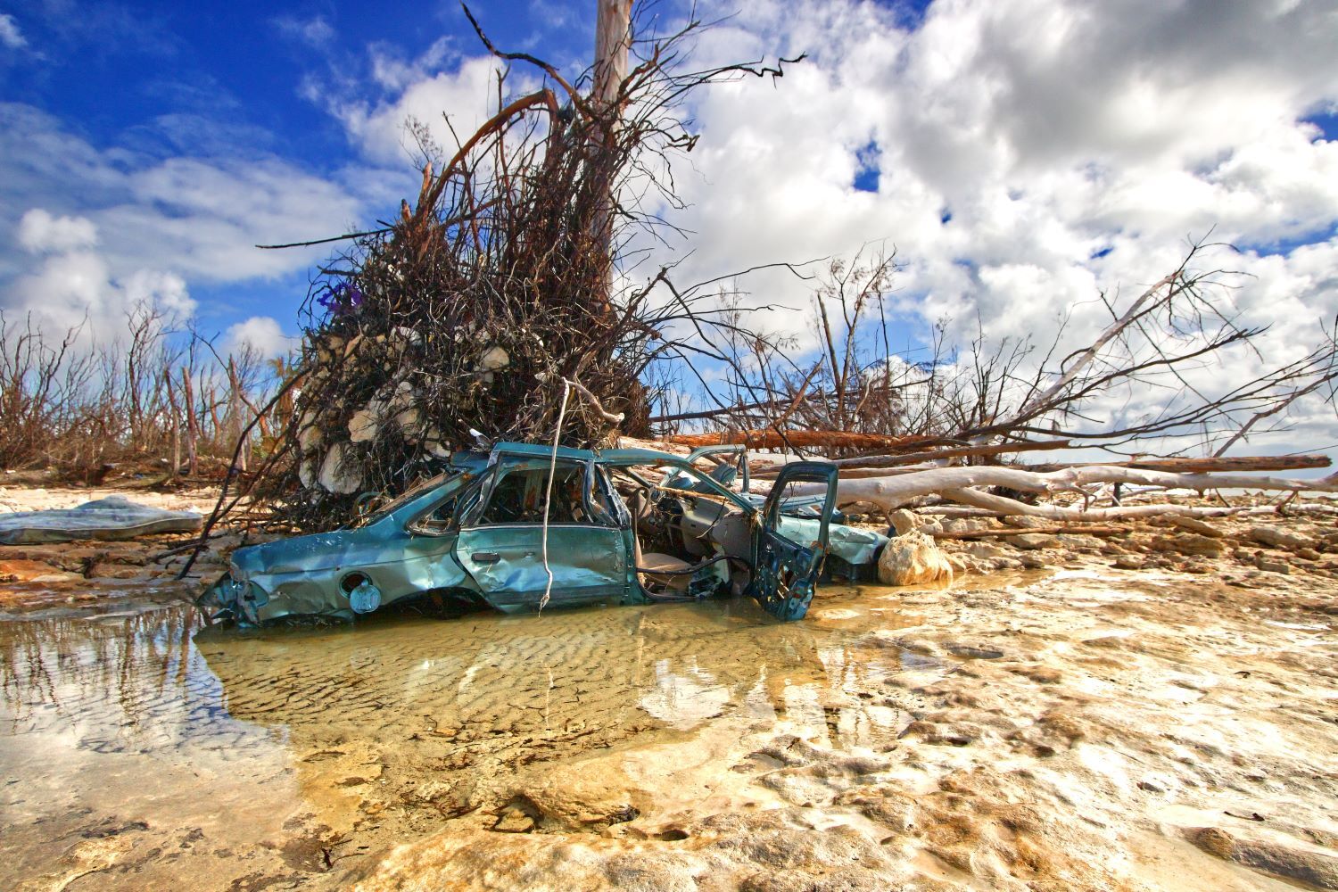 Climate-Crisis