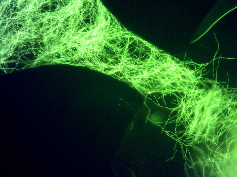 23268982713_9b032c7155_c