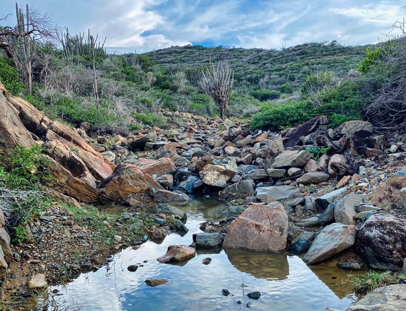 1_Cover-Photo_Aruba-landscape_R-Peterson