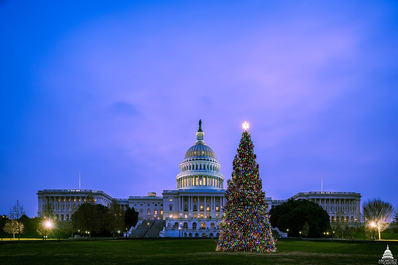 2017_U.S._Capitol_Christmas_Tree_Lit_(38012922675)